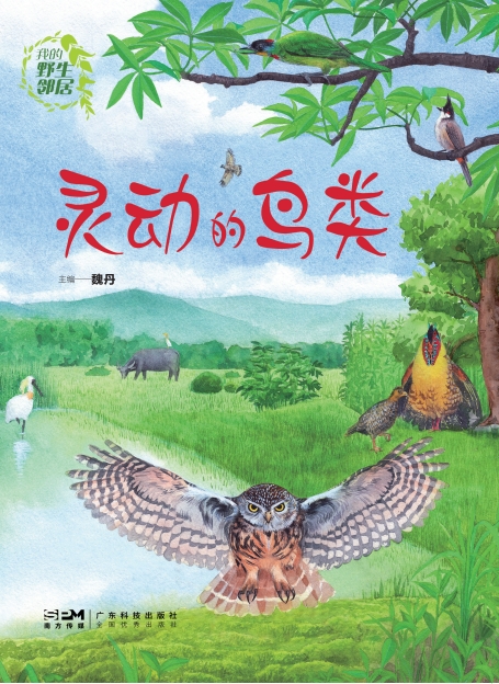 我的野生邻居：灵动的鸟类