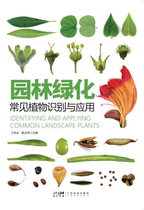 园林绿化常见植物识别与应用