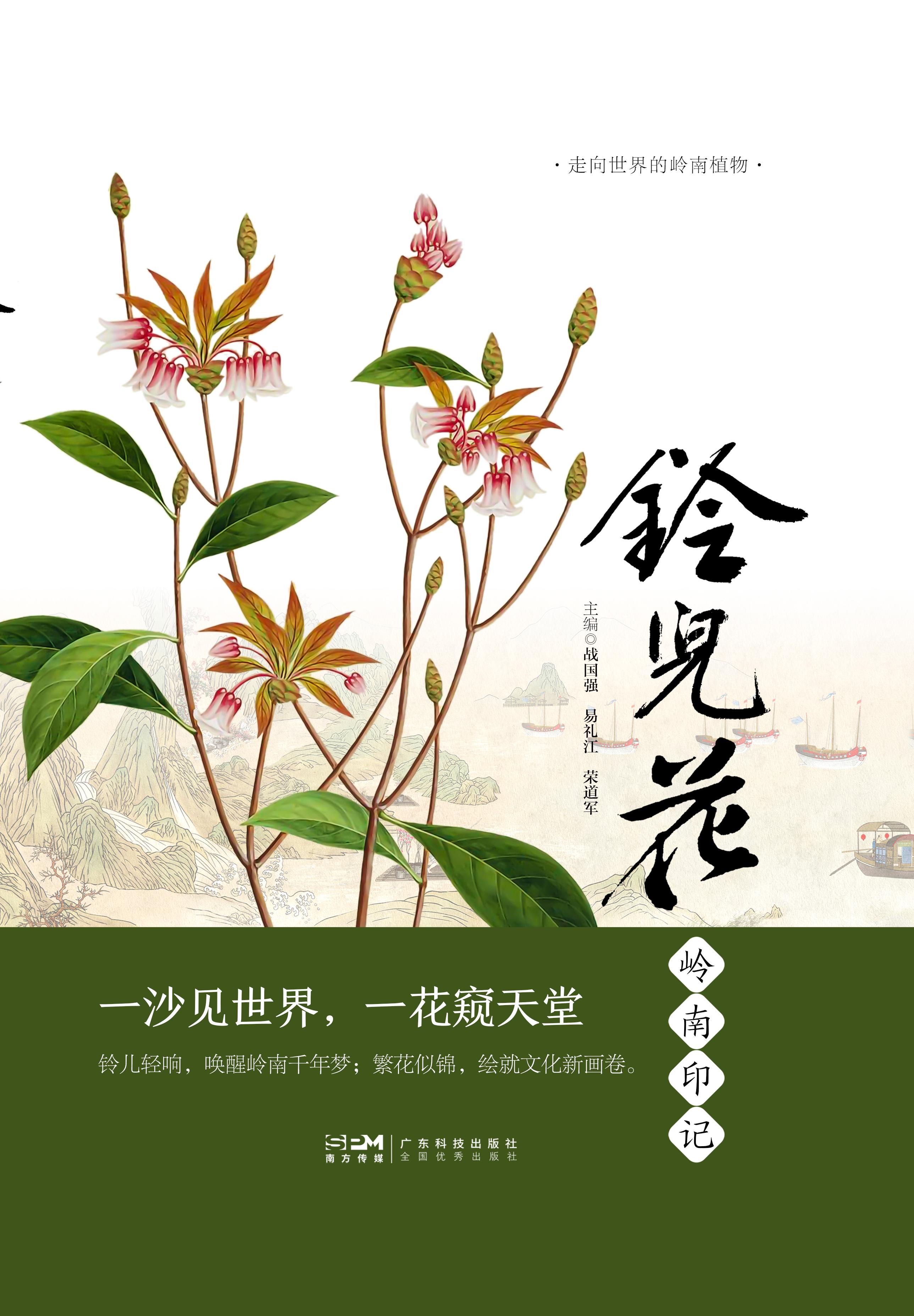 铃儿花岭南印记