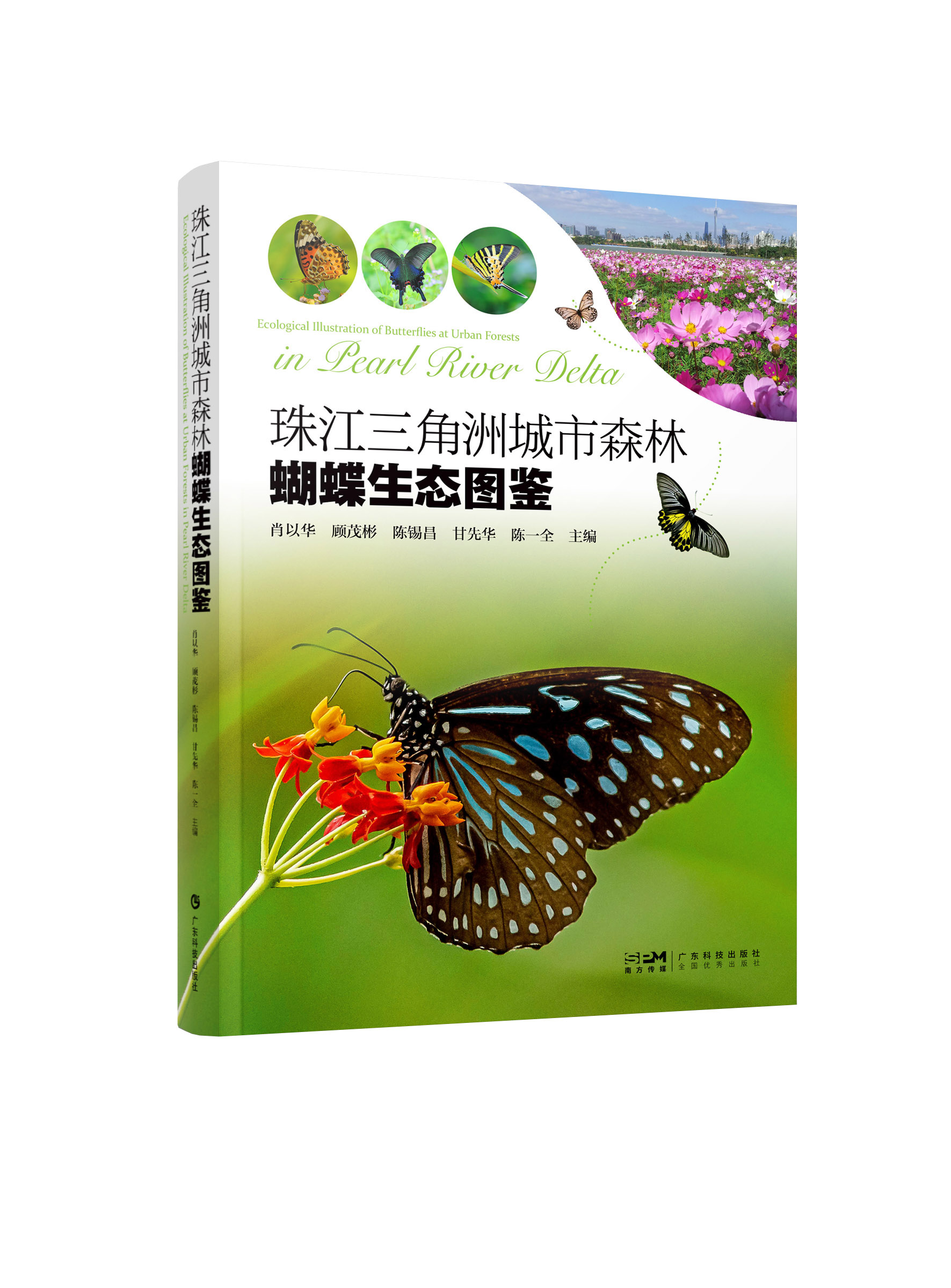 珠江三角洲城市森林蝴蝶生态图鉴