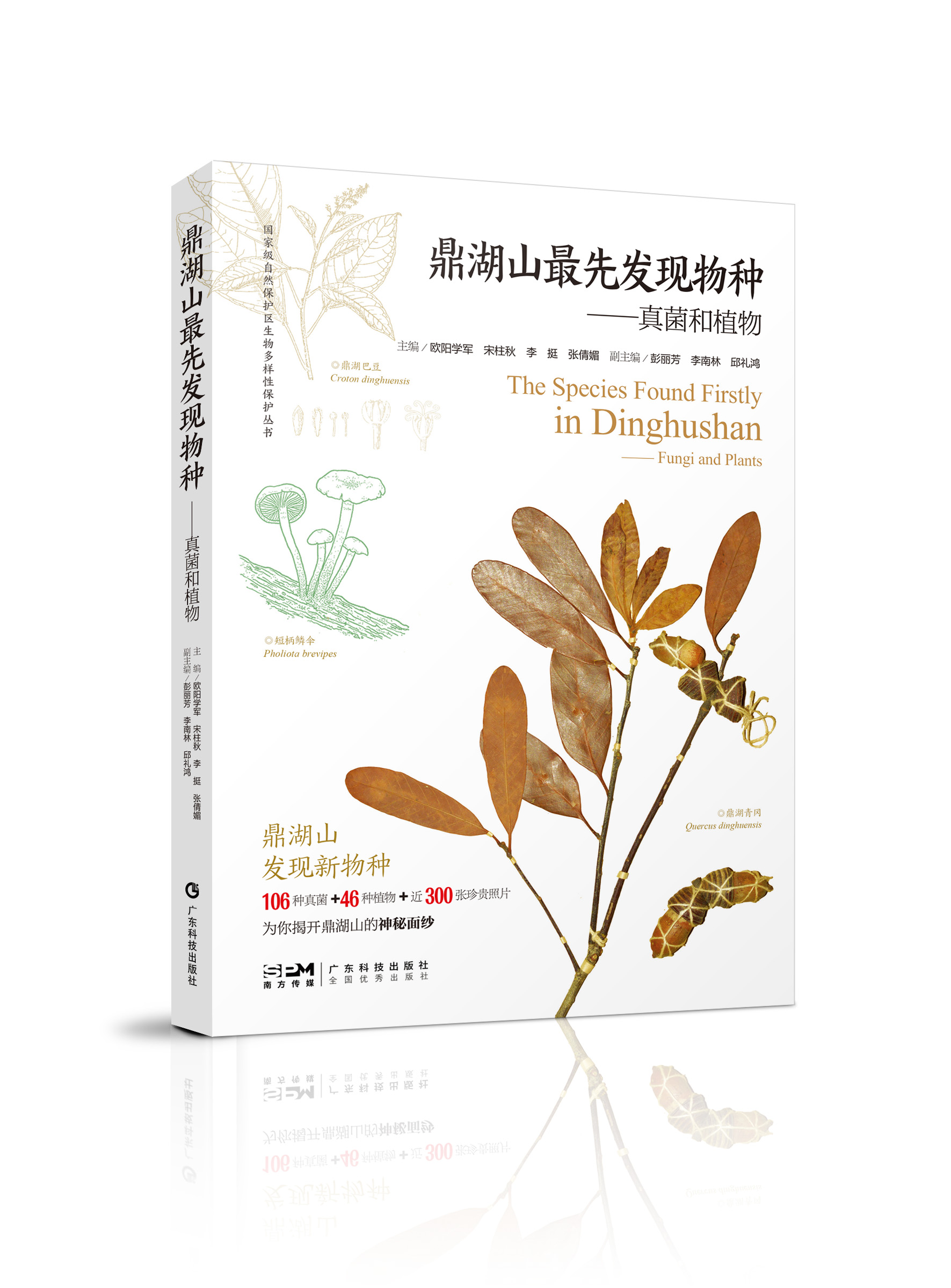 鼎湖山最先发现物种：真菌和植物