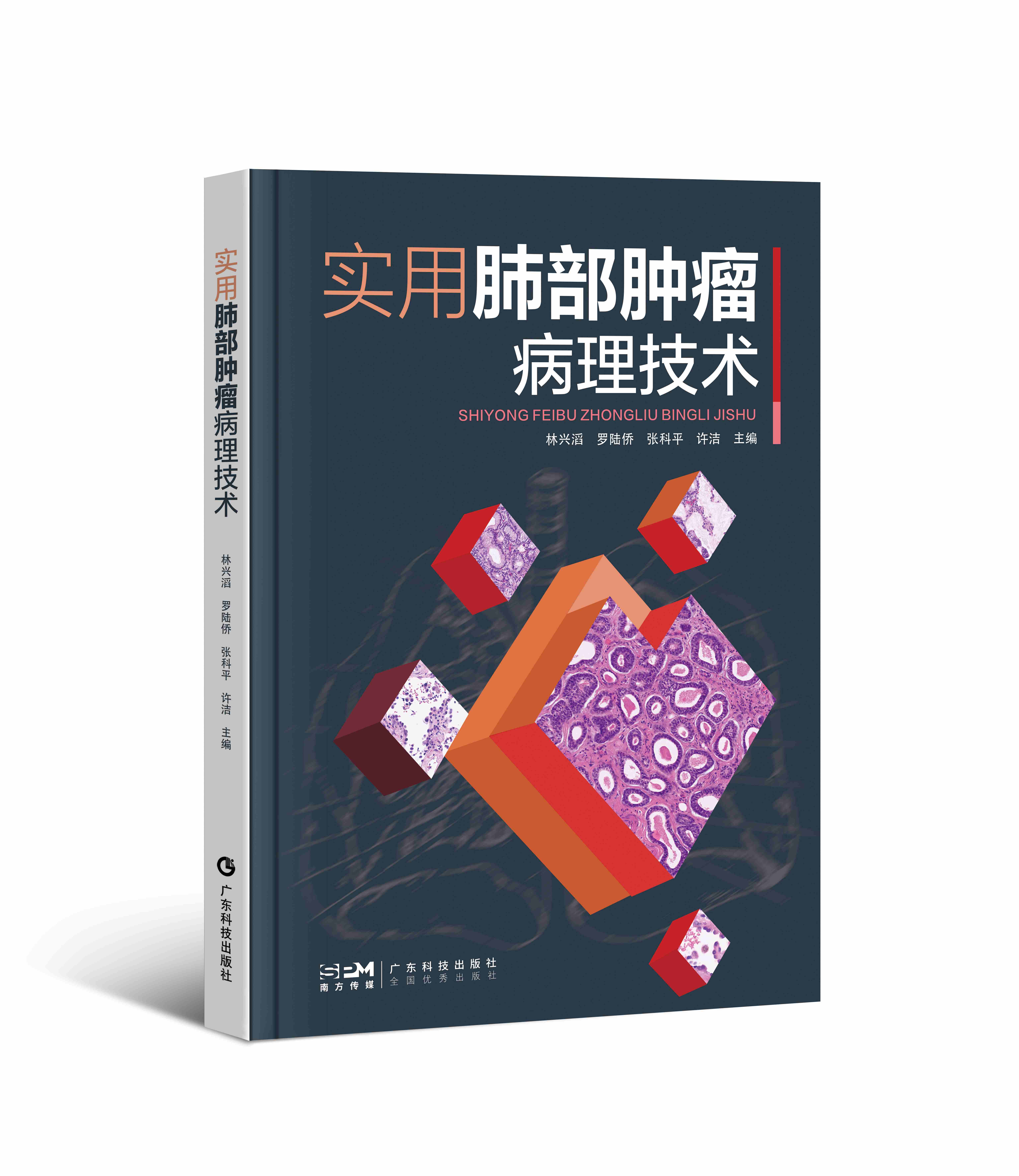 实用肺部肿瘤病理技术