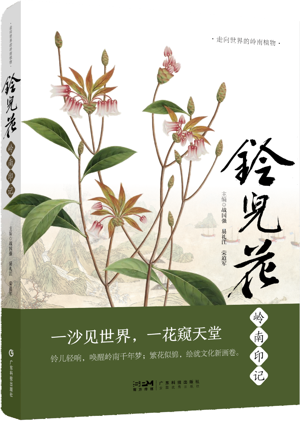 铃儿花岭南印记