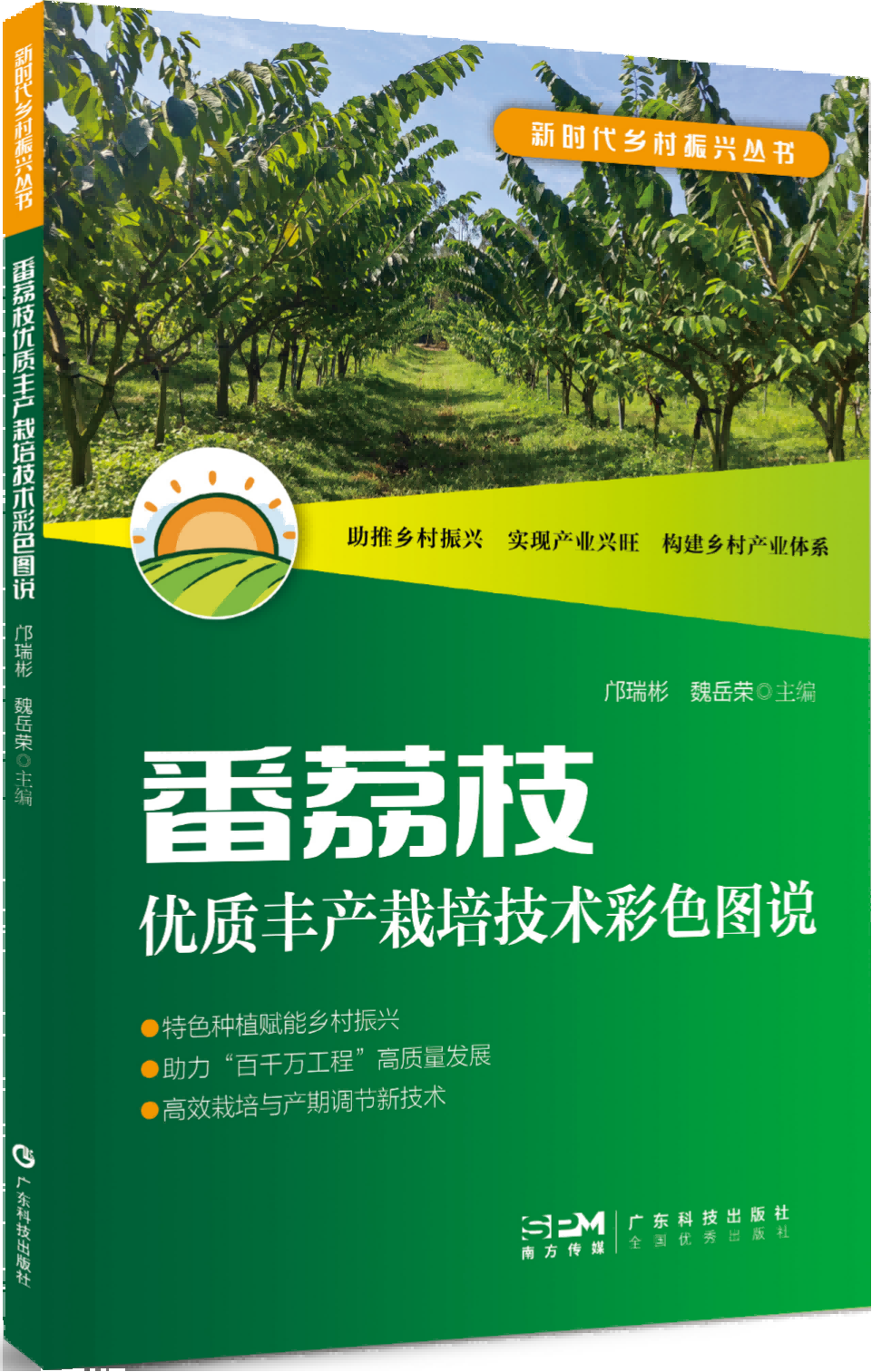 番荔枝优质丰产栽培技术彩色图说（新时代乡村振兴丛书）