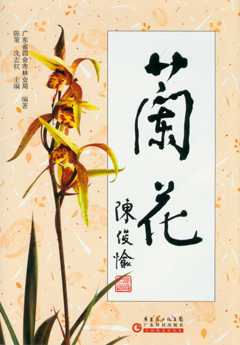 兰花