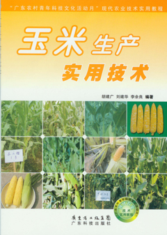 玉米生产实用技术