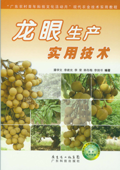 龙眼生产实用技术