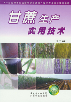 甘蔗生产实用技术