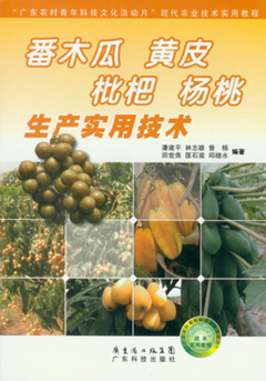 番木瓜 黄皮 枇杷 杨桃生产实用技术
