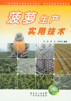 菠萝生产实用技术