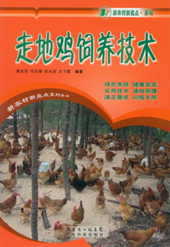 走地鸡饲养技术
