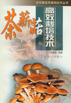 茶薪菇高效栽培技术