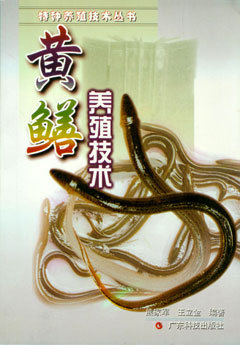 黄鳝养殖技术