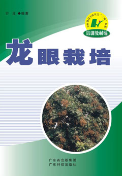 龙眼栽培
