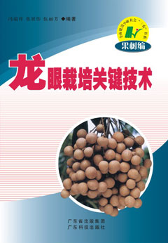 龙眼栽培关键技术
