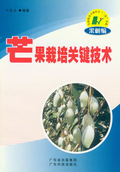 芒果栽培关键技术