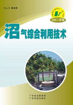 沼气综合利用技术