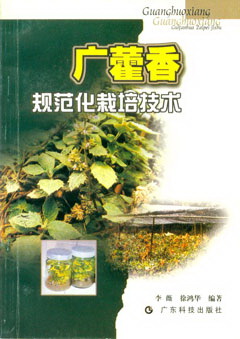 广藿香规范化栽培技术