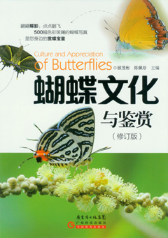 蝴蝶文化与鉴赏