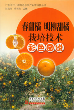 春甜橘　明柳甜橘栽培技术彩色图说