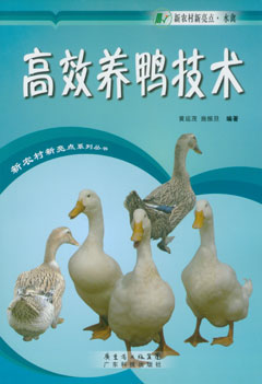 高效养鸭技术