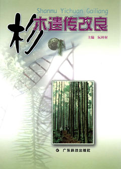 杉木遗传改良