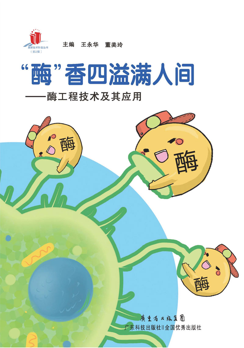 “酶”香四溢满人间：酶工程技术及其应用