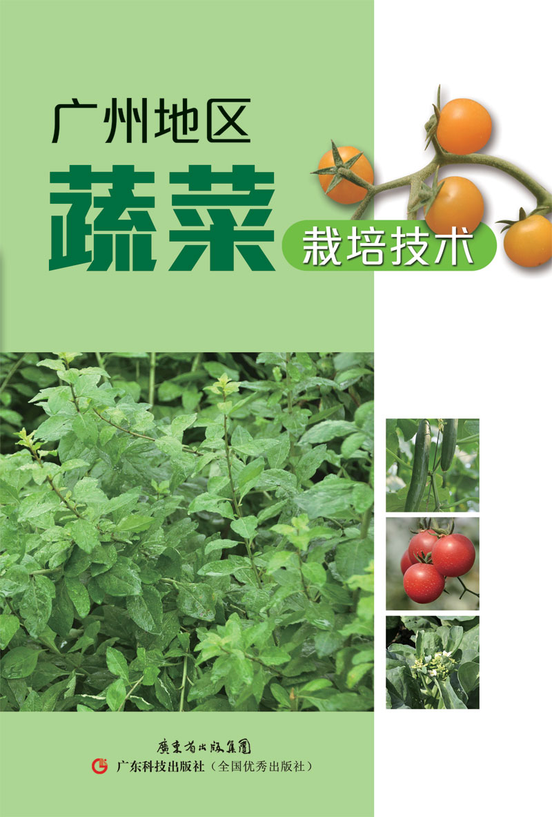 广州地区蔬菜栽培技术