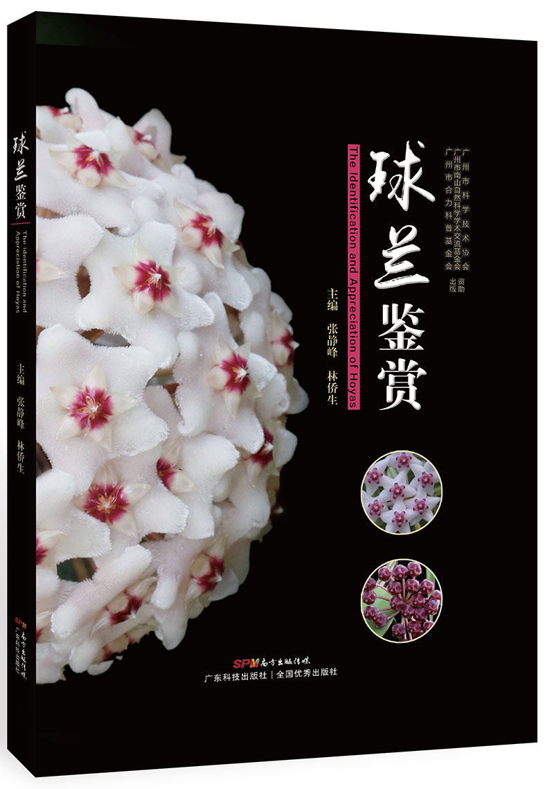 球兰鉴赏