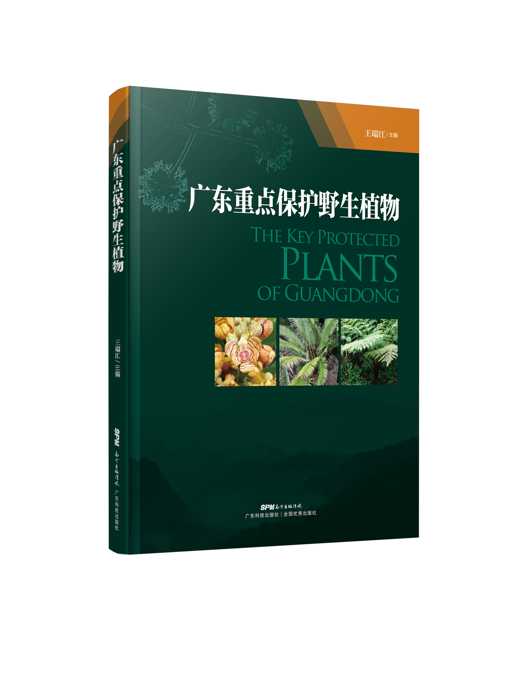 广东重点保护野生植物