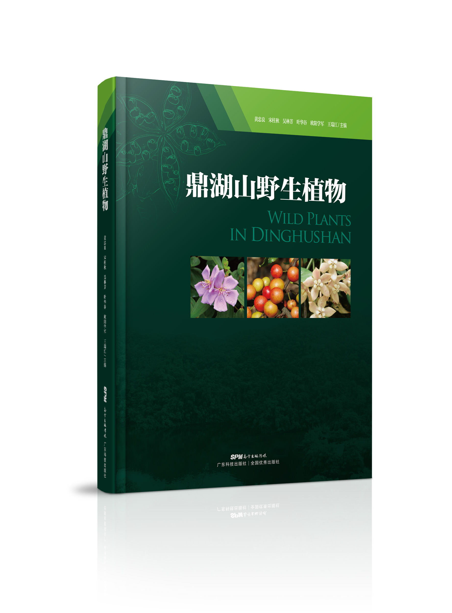 鼎湖山野生植物（鼎湖山植物多样性与物种宝库全书）