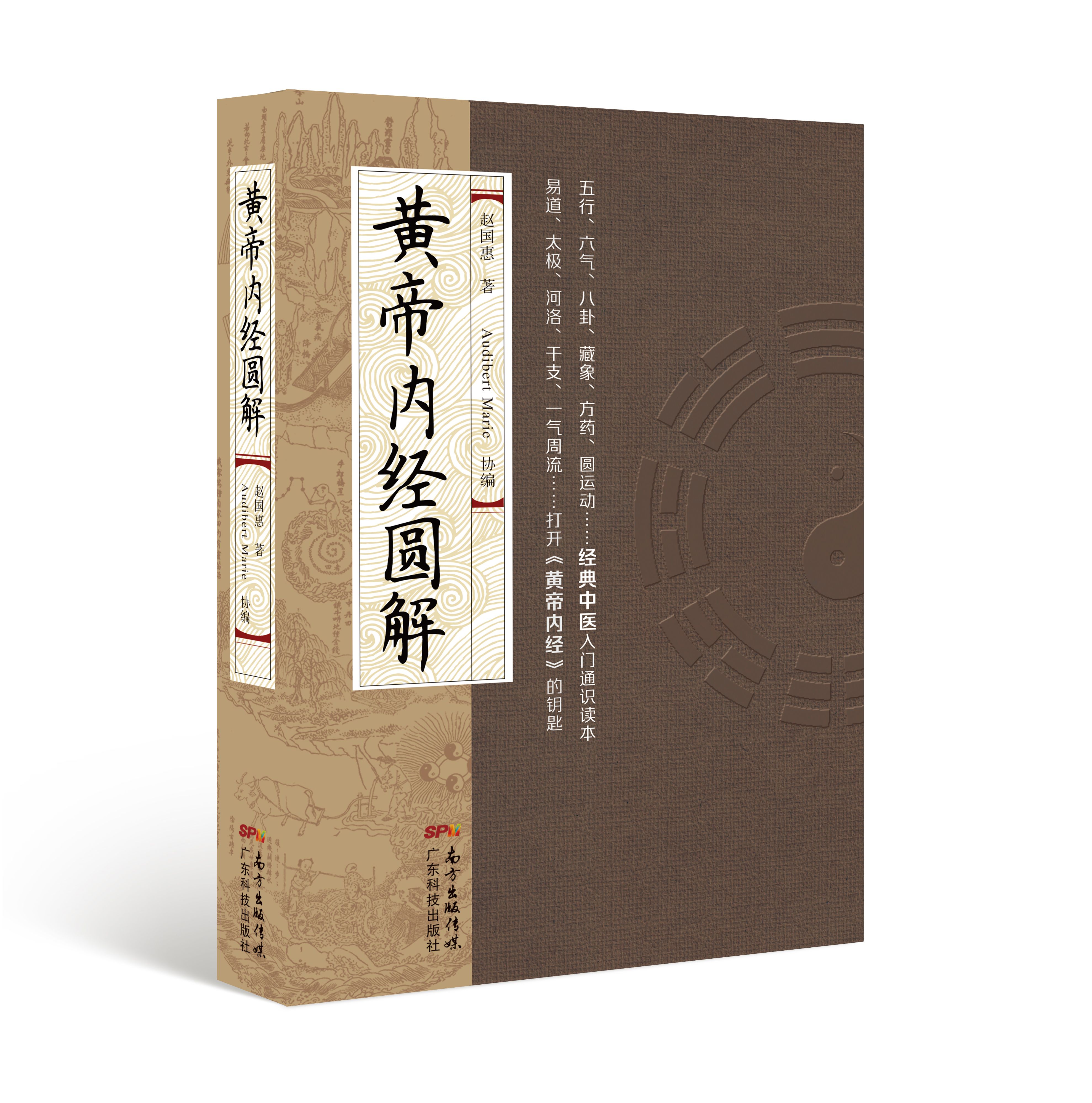 黄帝内经圆解